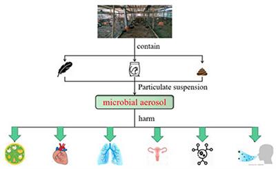 Research progress on distribution and exposure risk of microbial aerosols in animal houses